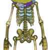 Græskar skelet deko 23x84cm