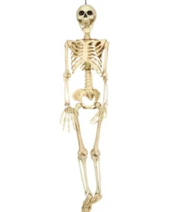 Skelet 90 cm